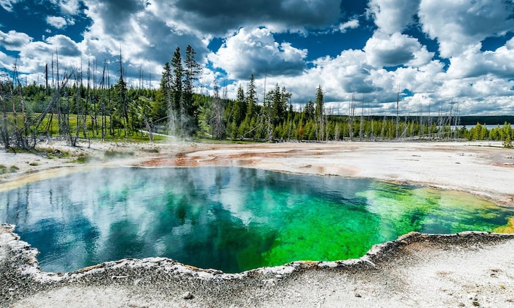 Yellowstone Travel Tips for Renting a 4WD